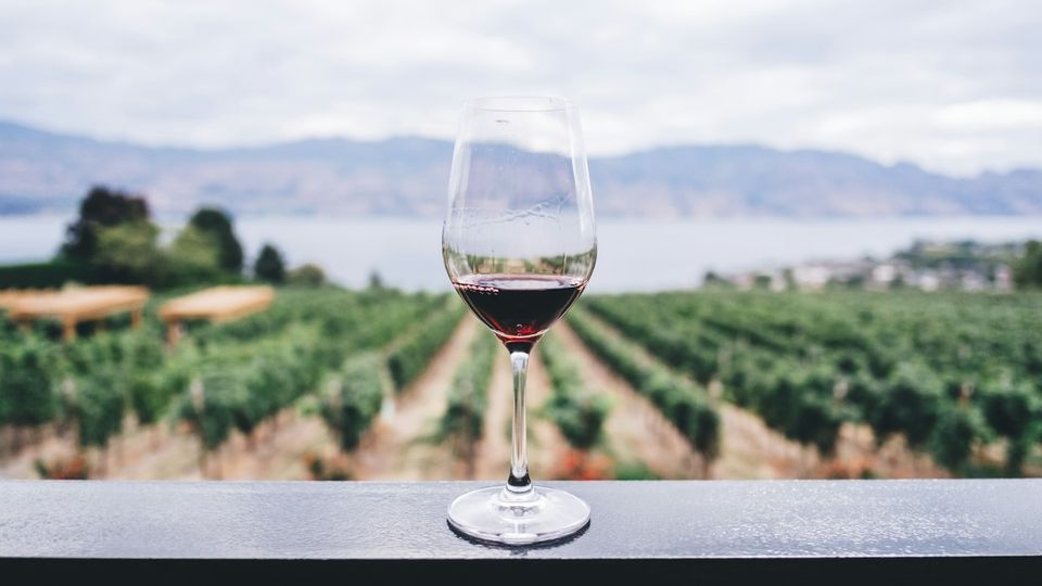 France Seasonal Agriculture Vineyard Harvest Jobs 2026 ANEF Work Authorization