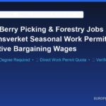 Sweden Berry Picking & Forestry Jobs 2026: Migrationsverket Seasonal Work Permit & Collective Bargaining Wages